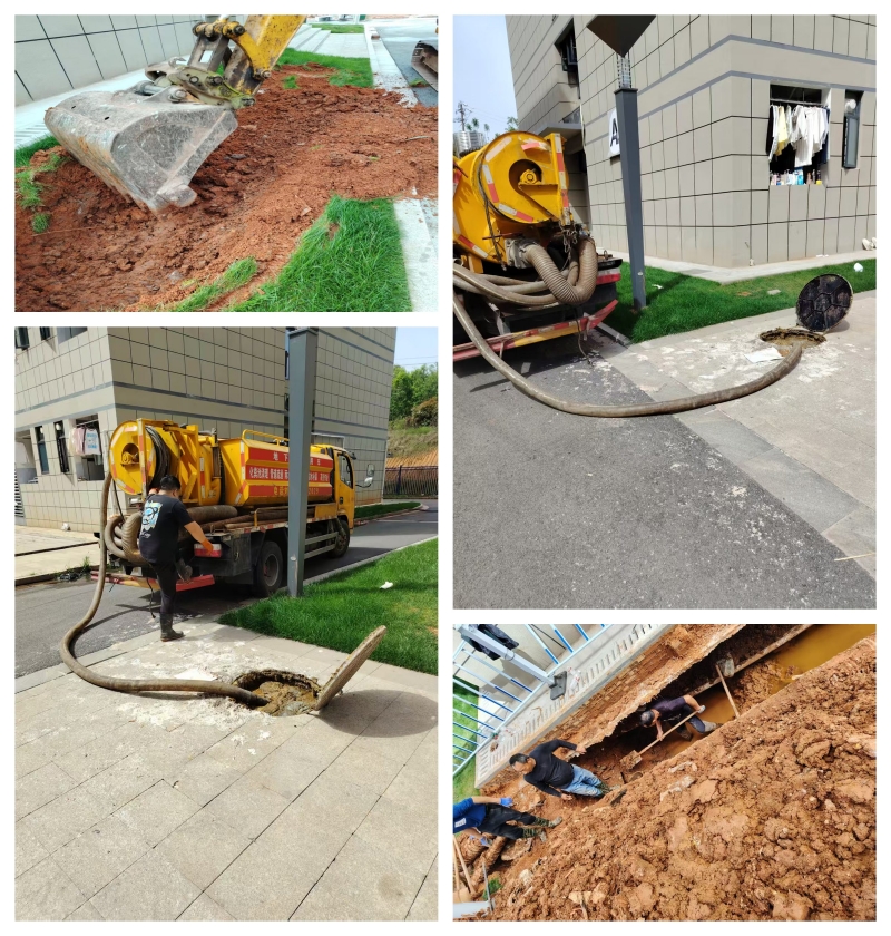 文明樹(shù)新風(fēng) 校園煥新顏｜文明校園專項(xiàng)整治活動(dòng)成果展示④