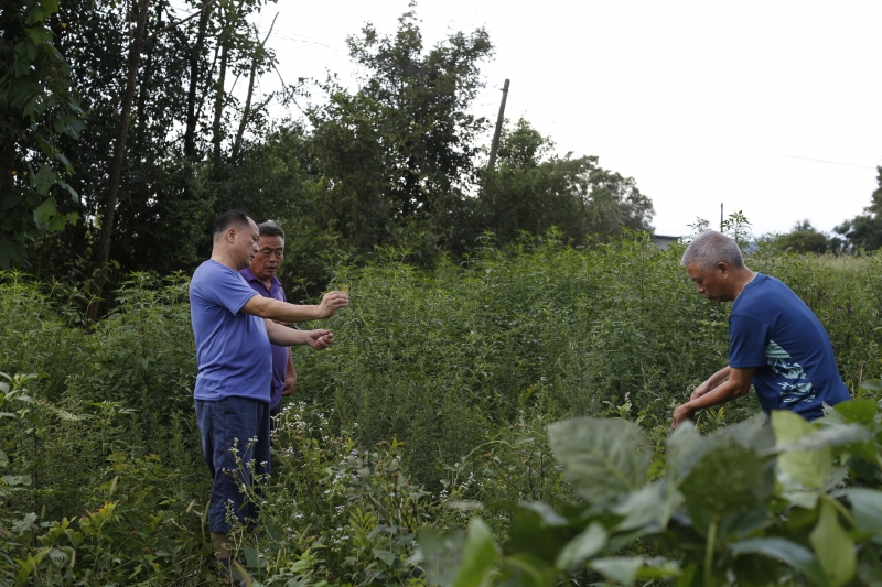 衡陽幼兒師專赴常寧開展鄉(xiāng)村振興實地走訪調(diào)研