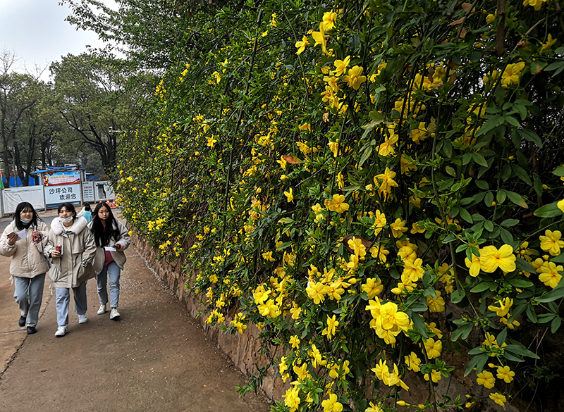 衡陽(yáng)幼高專：春色滿園迎開學(xué)