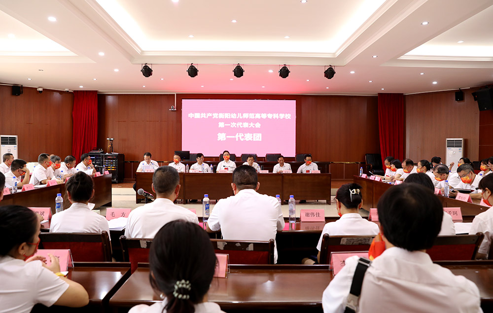 衡陽(yáng)幼兒師范高等?？茖W(xué)校第一次黨代會(huì)代表熱議大會(huì)工作報(bào)告
