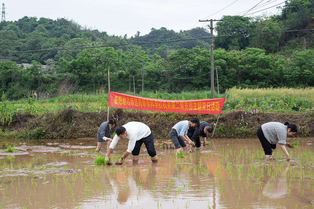 主題黨日創(chuàng)新意 田間地頭鬧春耕 主題黨日創(chuàng)新意 田間地頭鬧春耕