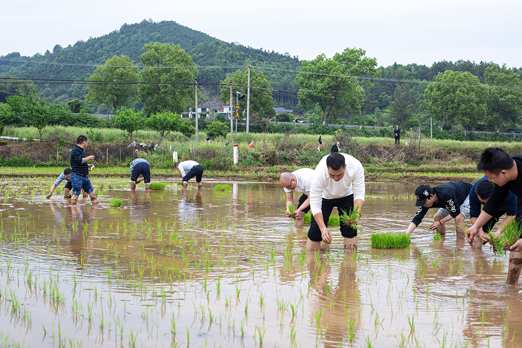 主題黨日創(chuàng)新意 田間地頭鬧春耕 主題黨日創(chuàng)新意 田間地頭鬧春耕