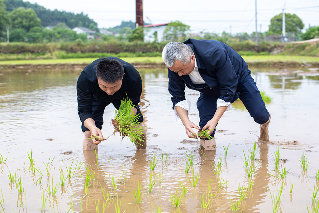 主題黨日創(chuàng)新意 田間地頭鬧春耕 主題黨日創(chuàng)新意 田間地頭鬧春耕