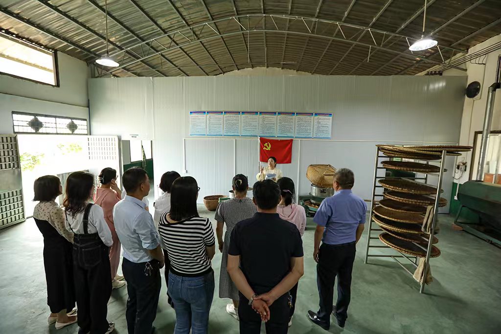 采茶助農(nóng)正當(dāng)時(shí) 主題黨日暖人心